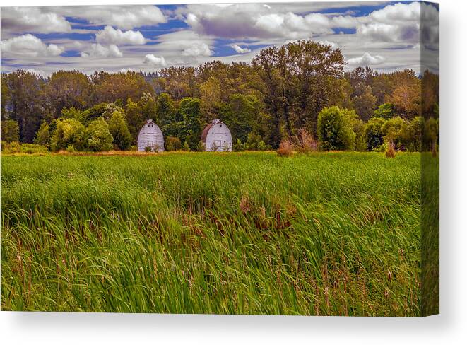 Barns Canvas Print featuring the photograph Nisqually Valley Summer by Ken Stanback