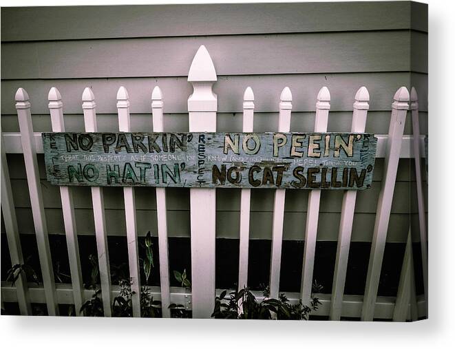 Signs Canvas Print featuring the photograph No Parking No Peeing No Hating No Cat Selling by Louis Maistros