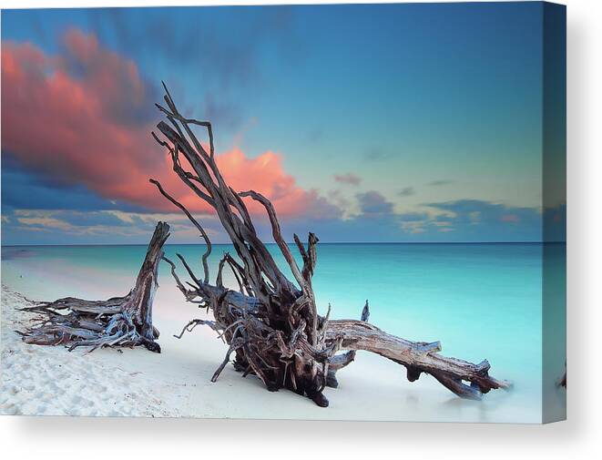 Tranquility Canvas Print featuring the photograph North Beach In Heron Island by Bruce Hood