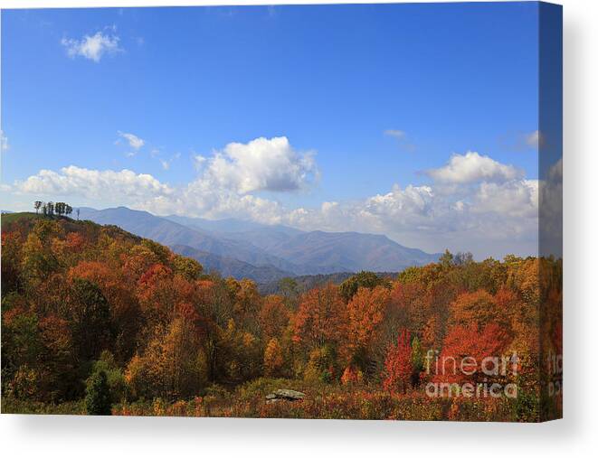 Max Patch Bald Canvas Print featuring the photograph North Carolina Mountains in the Fall by Jill Lang