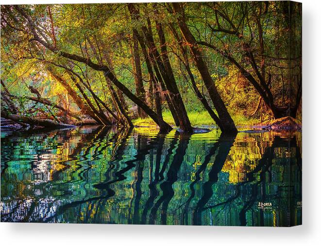 North Chick Creek Canvas Print featuring the photograph North Chick Impression by Steven Llorca