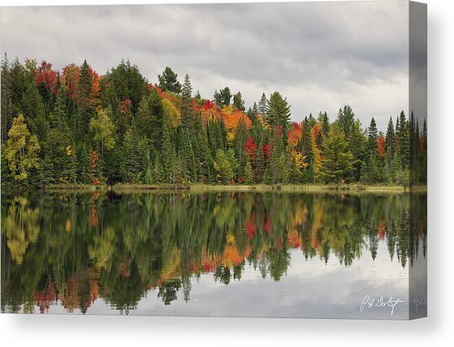 Algonquin Provincial Park Canvas Print featuring the photograph Northern Lake by Phill Doherty
