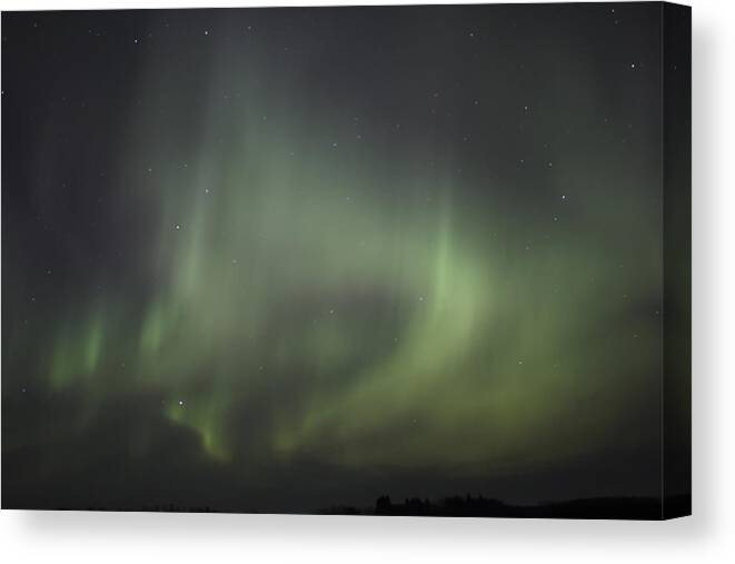 Landscape Canvas Print featuring the photograph Northern Lights over Wroxton by Ryan Crouse