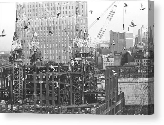 Wtc Canvas Print featuring the photograph Nosy Pigeons by William Haggart