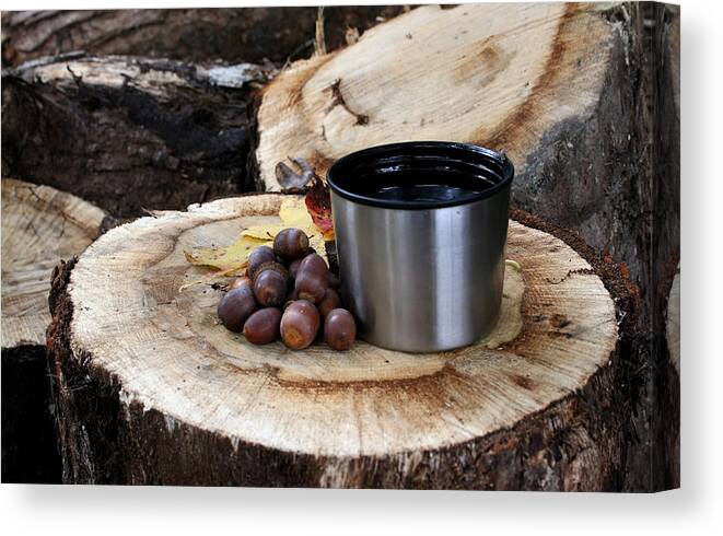 Acorn Canvas Print featuring the photograph Nuts and Coffee by Karen Harrison Brown