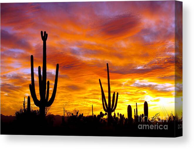 Desert Canvas Print featuring the photograph October Sunset IIi by Douglas Taylor