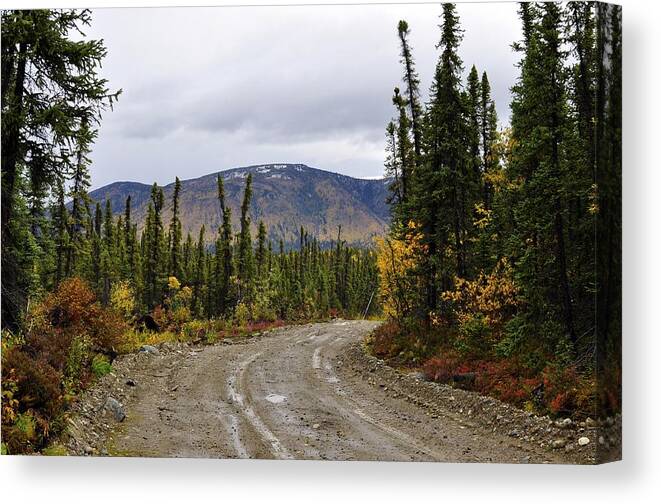 Alaska Canvas Print featuring the photograph Off the Grid by Cathy Mahnke