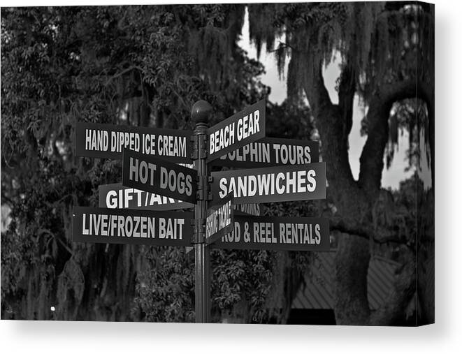 Jekyll Island Canvas Print featuring the photograph Oh The Decisions..... by Jason Blalock