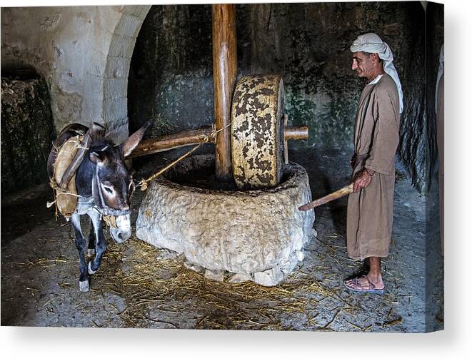 Ancient Canvas Print featuring the photograph Oil press by Kobby Dagan