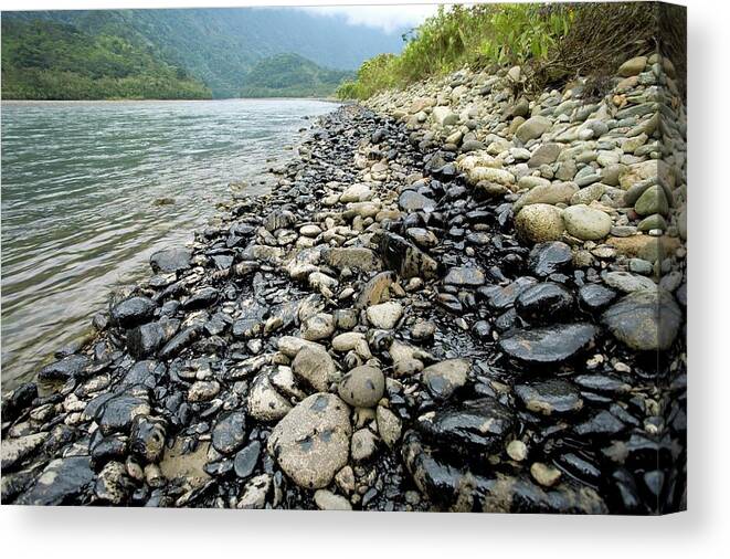 Oil Spill Canvas Print featuring the photograph Oil Spill In The Amazon by Dr Morley Read/science Photo Library