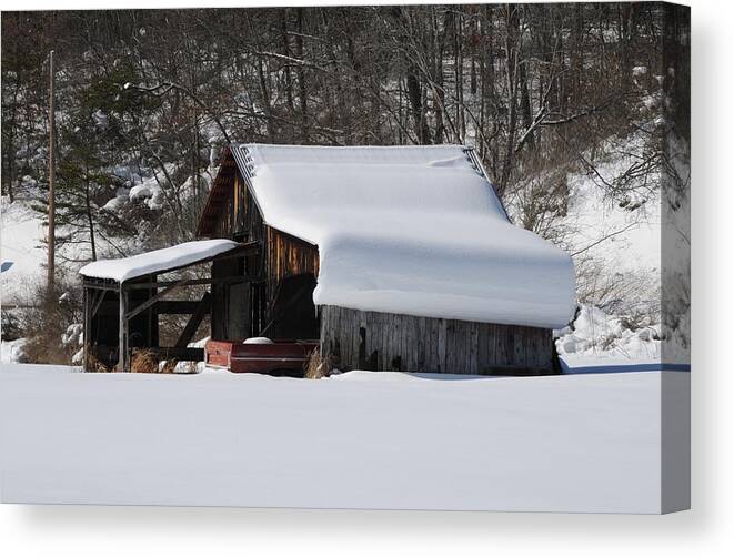 Snow Scene Canvas Print featuring the photograph Okay I'm In by Jack Harries