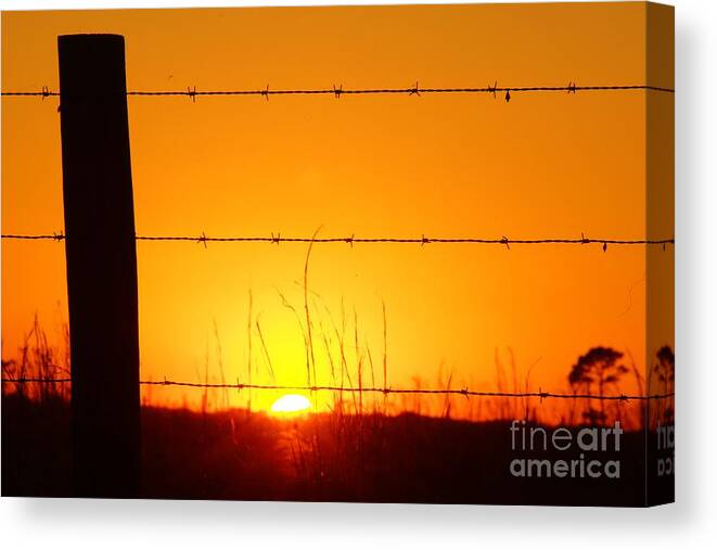 Sunset Canvas Print featuring the photograph Okeechobee Farm Sunset by Lynda Dawson-Youngclaus