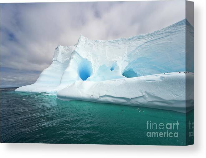 00346003 Canvas Print featuring the photograph Blue Iceberg Near South Georgia by Yva Momatiuk John Eastcott