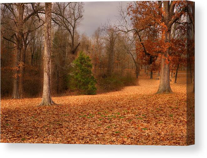 Old Davidson Oaks Canvas Print featuring the digital art Old Davidson Oaks by William Fields