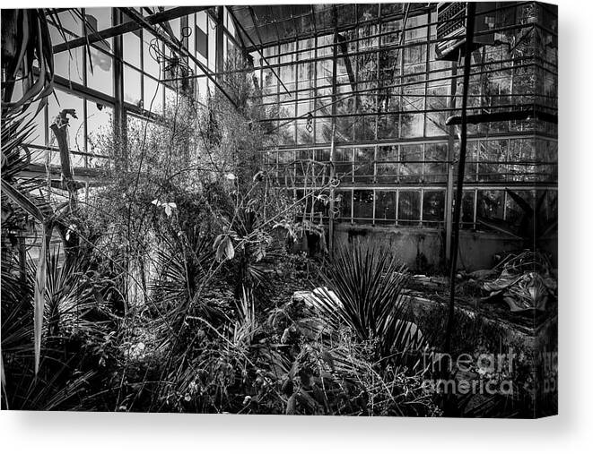 Greenhouse Canvas Print featuring the photograph Old Greenhouse one by Ken Frischkorn
