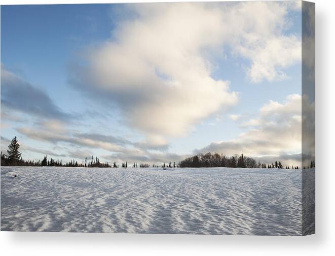 Alaska Canvas Print featuring the photograph Old Snow by Michele Cornelius
