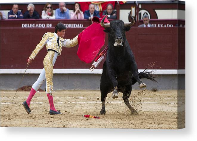 Bullfight Spain Madrid Bullfighting Europe Canvas Print featuring the photograph Ole by Nathan Rupert