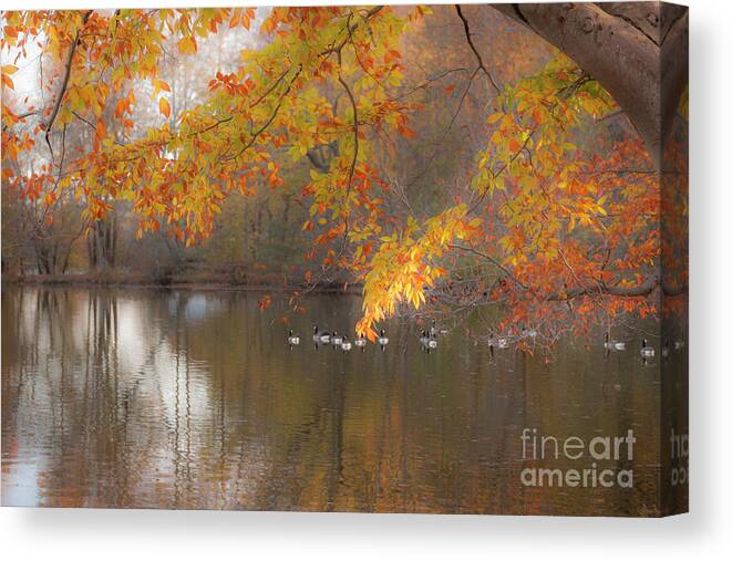 Pond Canvas Print featuring the photograph Peavefull Pond Reflections by Dale Powell