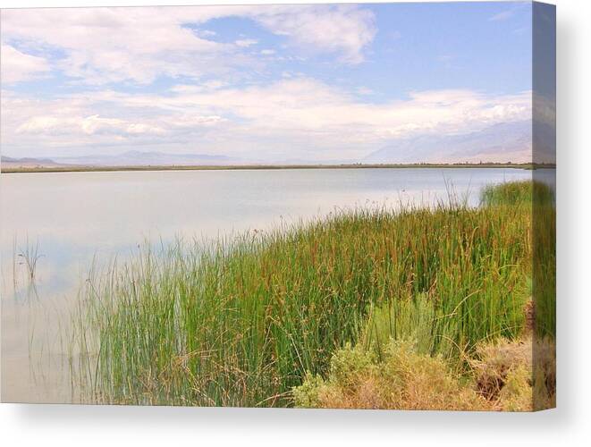 Water Canvas Print featuring the photograph On Shore by Marilyn Diaz