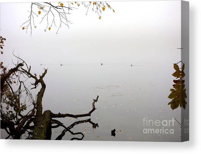 Duck Canvas Print featuring the photograph On The Horizon by Jacqueline Athmann
