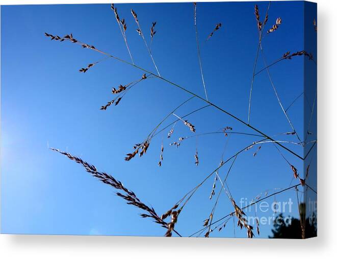 Flowing Canvas Print featuring the photograph On The Prairie #7 by Jacqueline Athmann