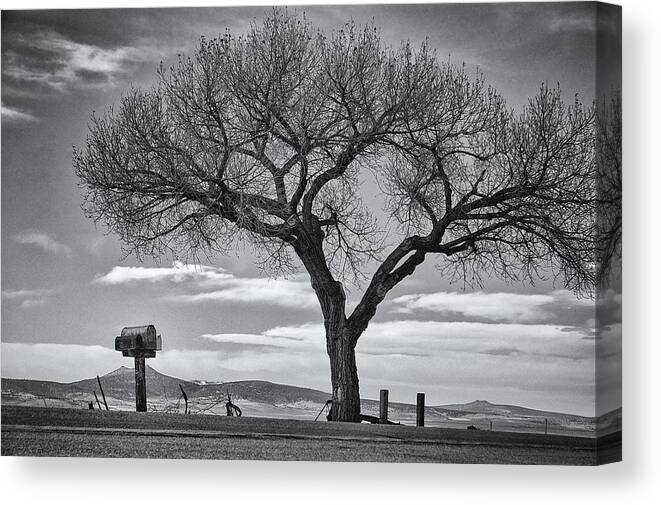 Landscapes Canvas Print featuring the photograph On the Road to Taos by Mary Lee Dereske