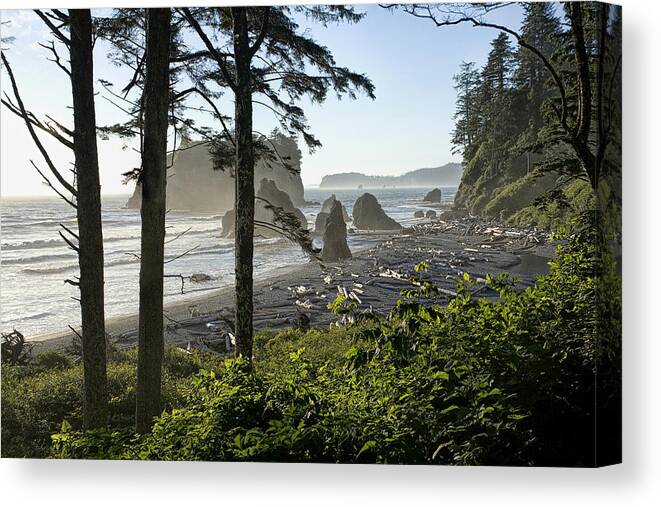 Art Canvas Print featuring the photograph On the Trail to Ruby Beach by Randall Nyhof