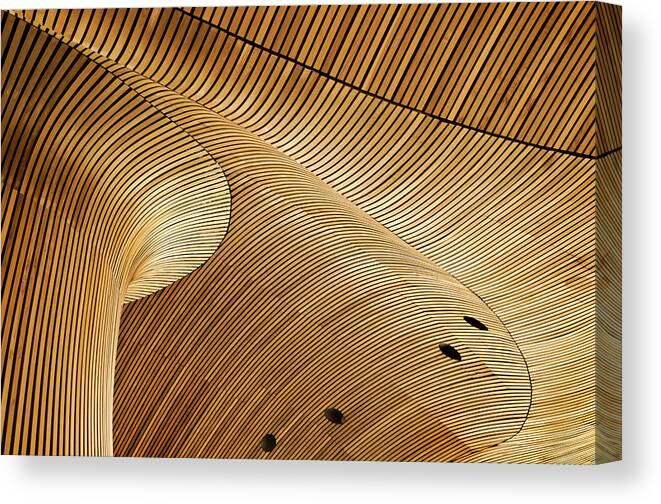 Architecture Canvas Print featuring the photograph Once A Tree by Linda Wride