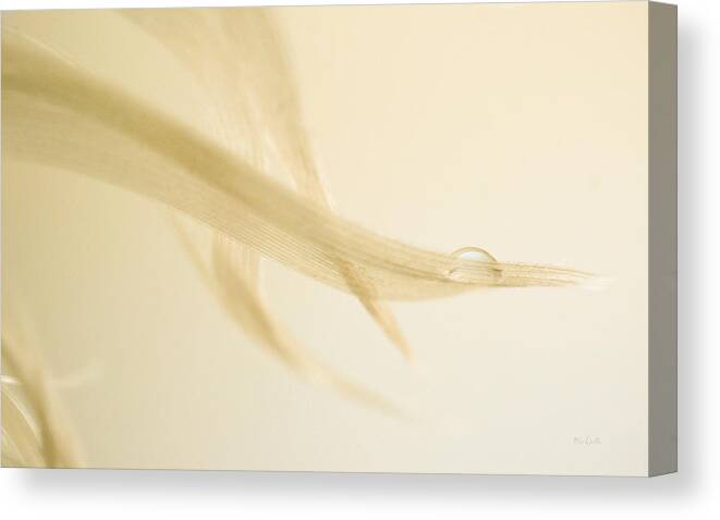 Feather Canvas Print featuring the photograph One Drop of Water by Bob Orsillo