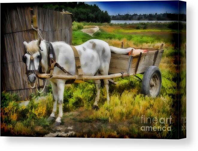 Ken Canvas Print featuring the photograph One Horse Wagon by Ken Johnson