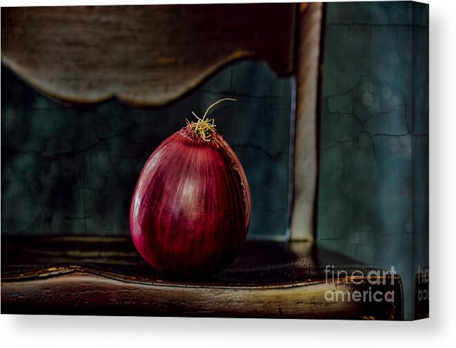 Old Master Canvas Print featuring the photograph Onion on a Chair by Norma Warden