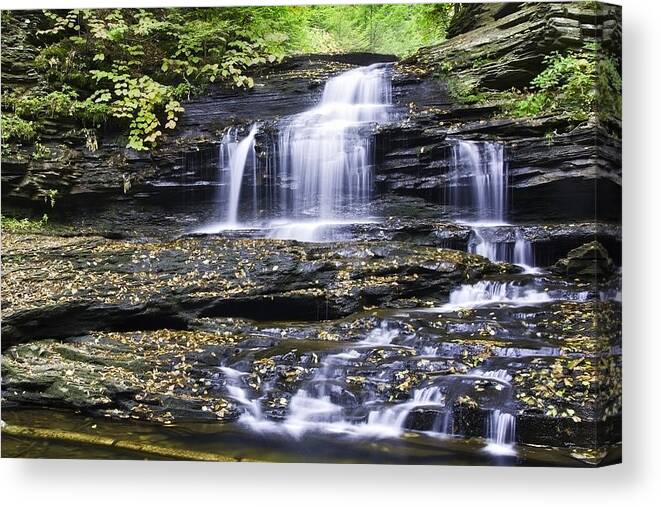 Ricketts Glen Canvas Print featuring the photograph Onondaga Falls by Paul Riedinger