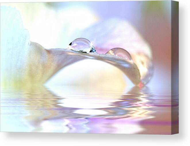 Opalesence Canvas Print featuring the photograph Opalesence by Trudy Wilkerson