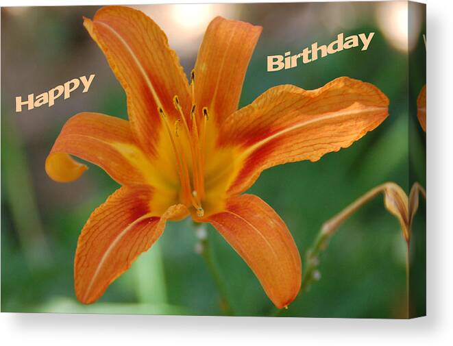 Flower Canvas Print featuring the photograph Orange Lily Birthday 1 by Aimee L Maher ALM GALLERY