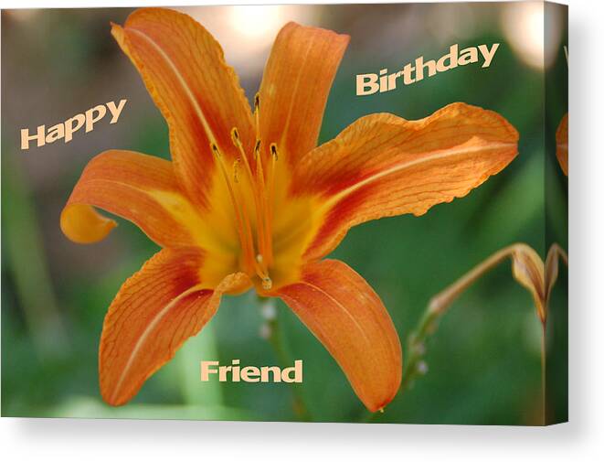 Flower Canvas Print featuring the photograph Orange Lily Birthday by Aimee L Maher ALM GALLERY
