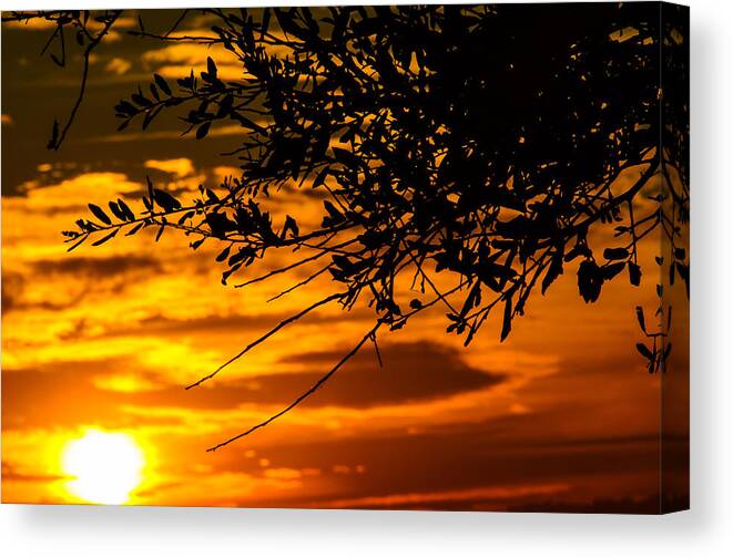 Sunset Canvas Print featuring the photograph Orange sunset by Tammy Ray