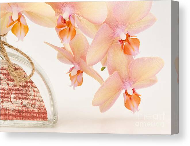 Orchid Canvas Print featuring the photograph Orchid Falls - 2 by Ann Garrett