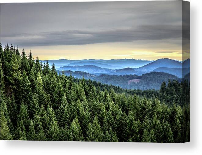 Tranquility Canvas Print featuring the photograph Oregon Forest by Richard Hicks