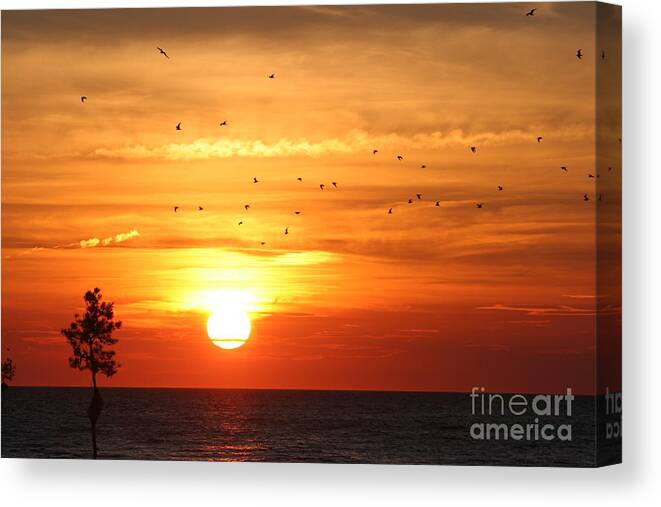 Orleans Canvas Print featuring the photograph Orleans sunset by Jim Gillen