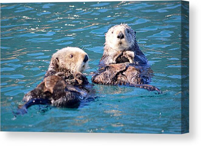 Animals Canvas Print featuring the photograph Otter Cuteness by AJ Schibig