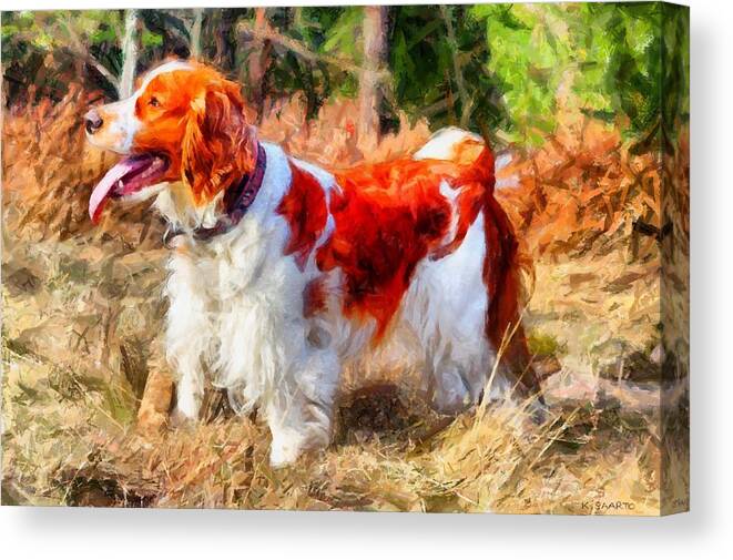 Welsh Springer Spaniel Canvas Print featuring the digital art Otterox Royal Touch by Kai Saarto