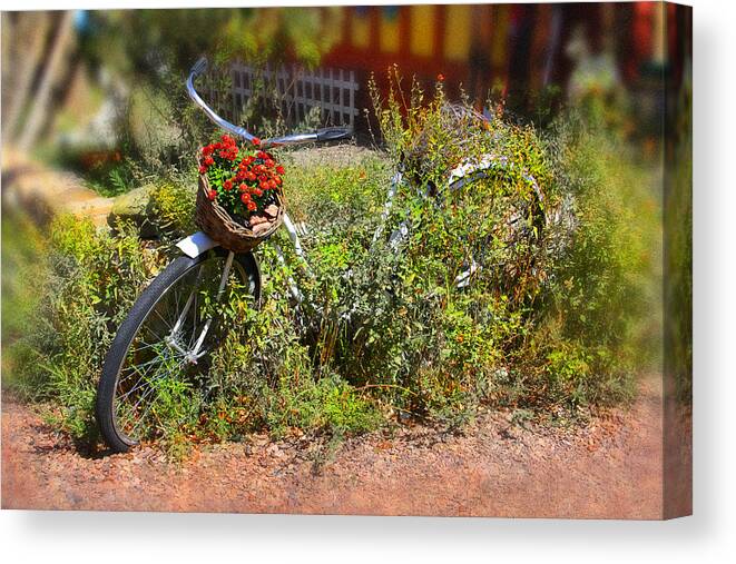 Bike Canvas Print featuring the photograph Overgrown Bicycle with Flowers by Mike McGlothlen