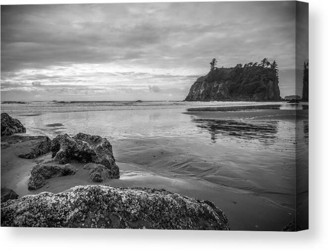 Olympic National Park Canvas Print featuring the photograph Pacific Coast by Kristopher Schoenleber