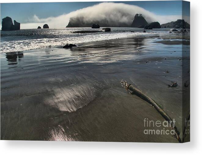 Trinidad Beach Canvas Print featuring the photograph Pacific Fog by Adam Jewell