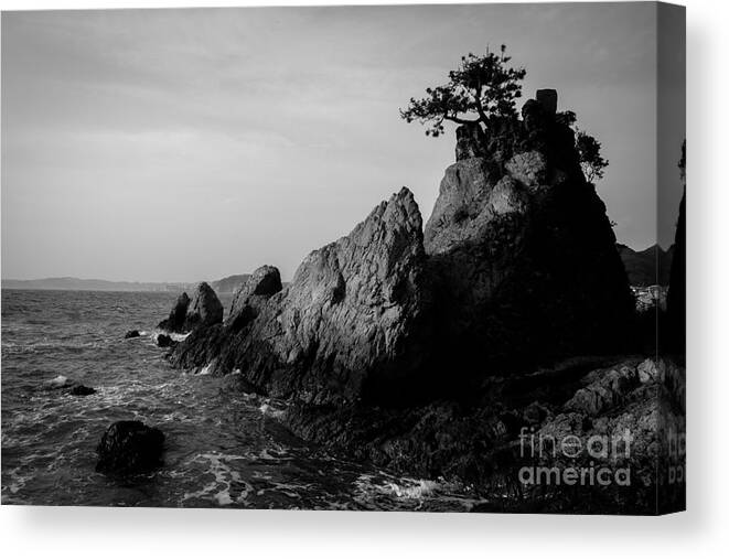 Pacific Canvas Print featuring the photograph Pacific Island Tree by Dean Harte