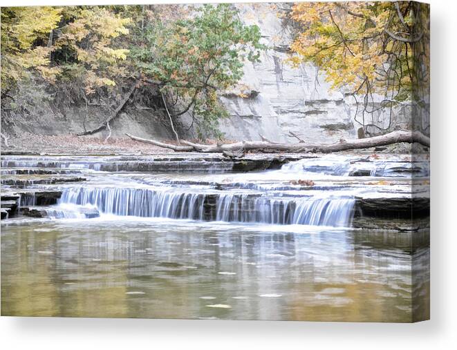 Creek Canvas Print featuring the photograph Paine Creek by David Armstrong