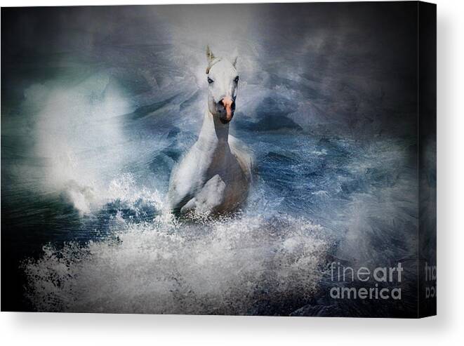 Horse.white.blue Canvas Print featuring the photograph Painted Horse by Jim Hatch