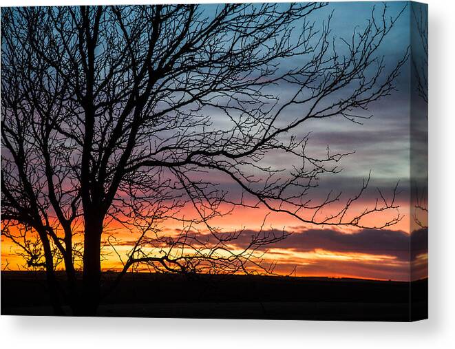 Landscape Canvas Print featuring the photograph Painting In The Sky by Shirley Heier