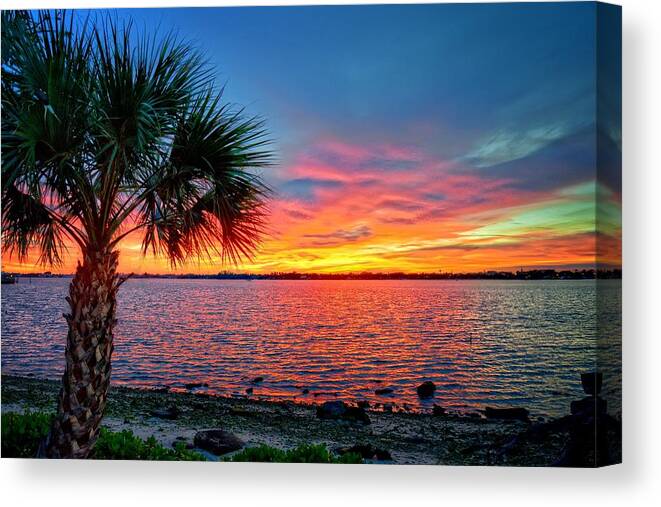 Palm Canvas Print featuring the photograph Palm Beach Sunset by Lynn Bauer