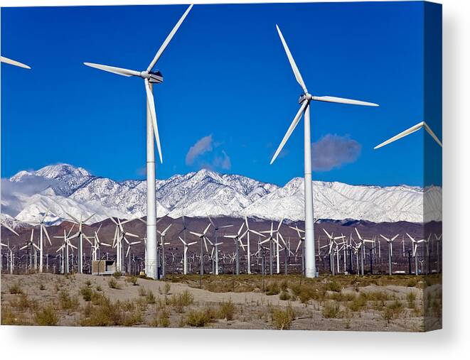 Palm Springs Canvas Print featuring the photograph Palm Springs Snow Covered Mountains by Matthew Bamberg